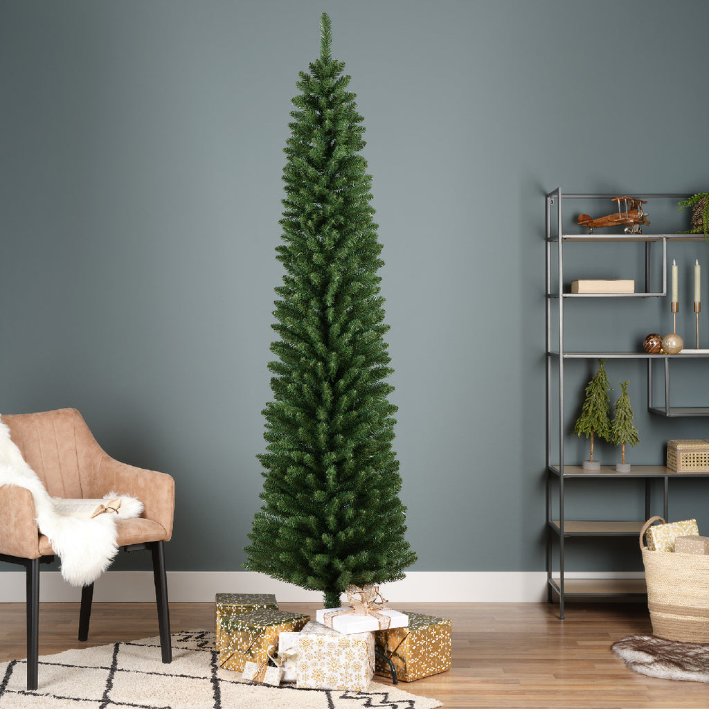 Pencil Pine 7ft