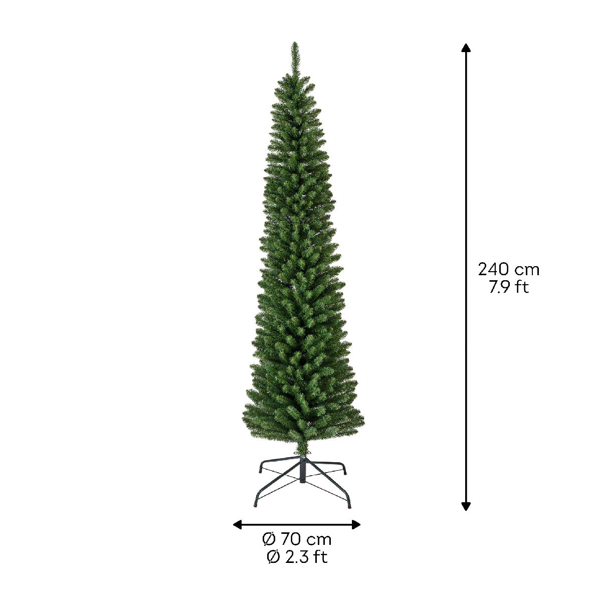 Pencil Pine 8ft