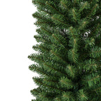Pencil Pine 7ft