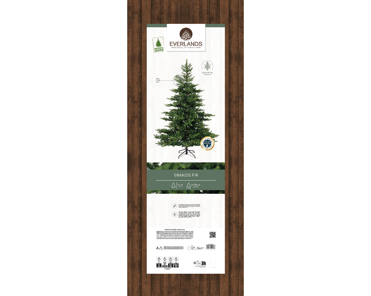 Grandis Fir 7ft