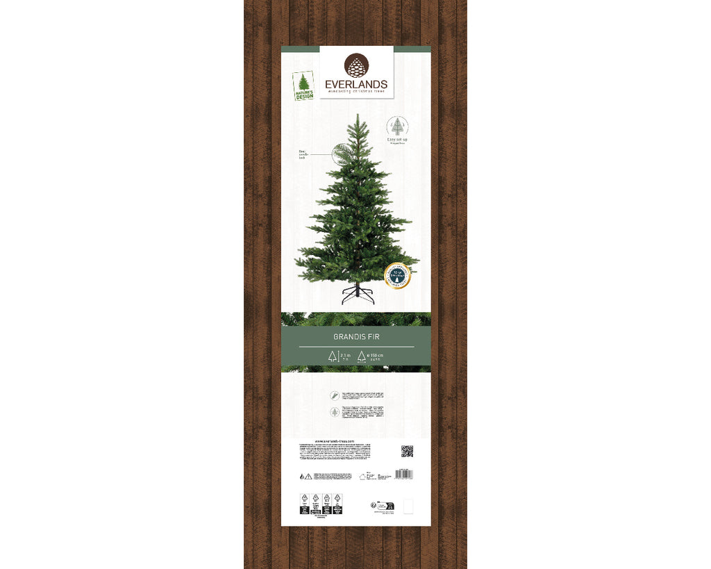 Grandis Fir 7ft