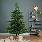 Grandis Fir 7ft