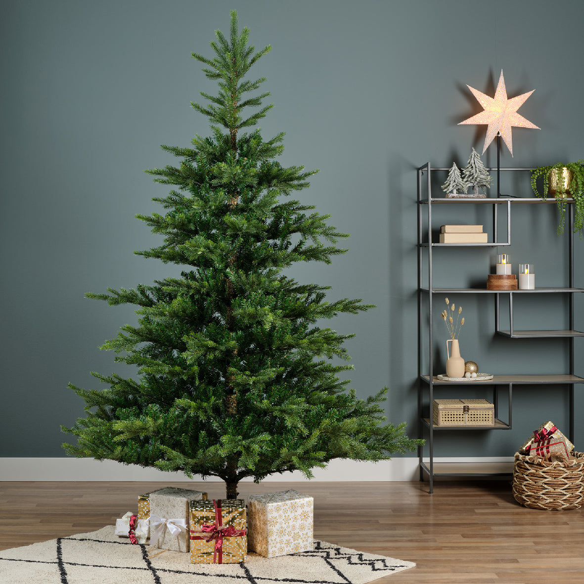 Grandis Fir 7ft
