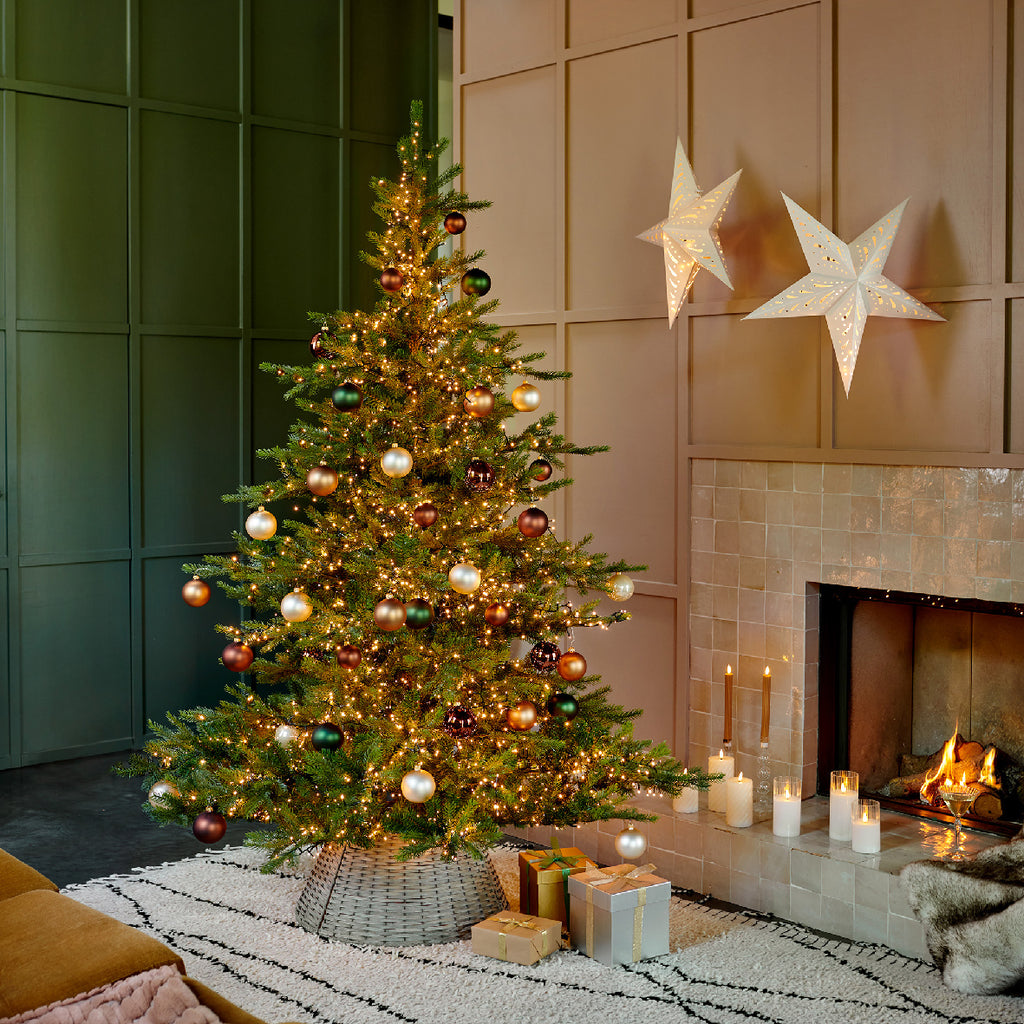 Grandis Fir 7ft