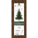 Grandis Fir 8ft