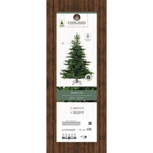 Grandis Fir 8ft