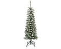 Snowy Pencil Pine 5ft