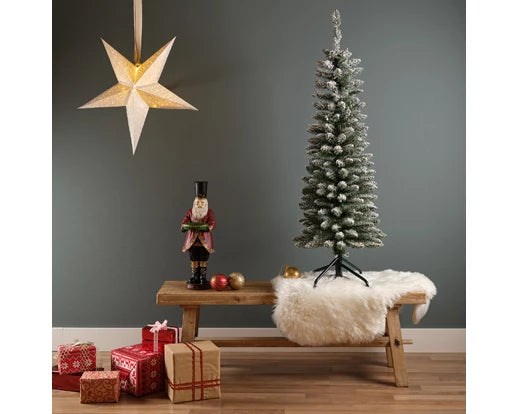 Snowy Pencil Pine 5ft
