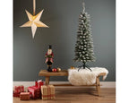 Snowy Pencil Pine 5ft