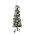 Snowy Pencil Pine 6ft