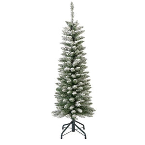 Snowy Pencil Pine 6ft