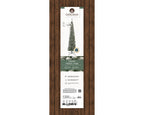 Snowy Pencil Pine 6ft