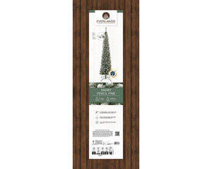 Snowy Pencil Pine 6ft