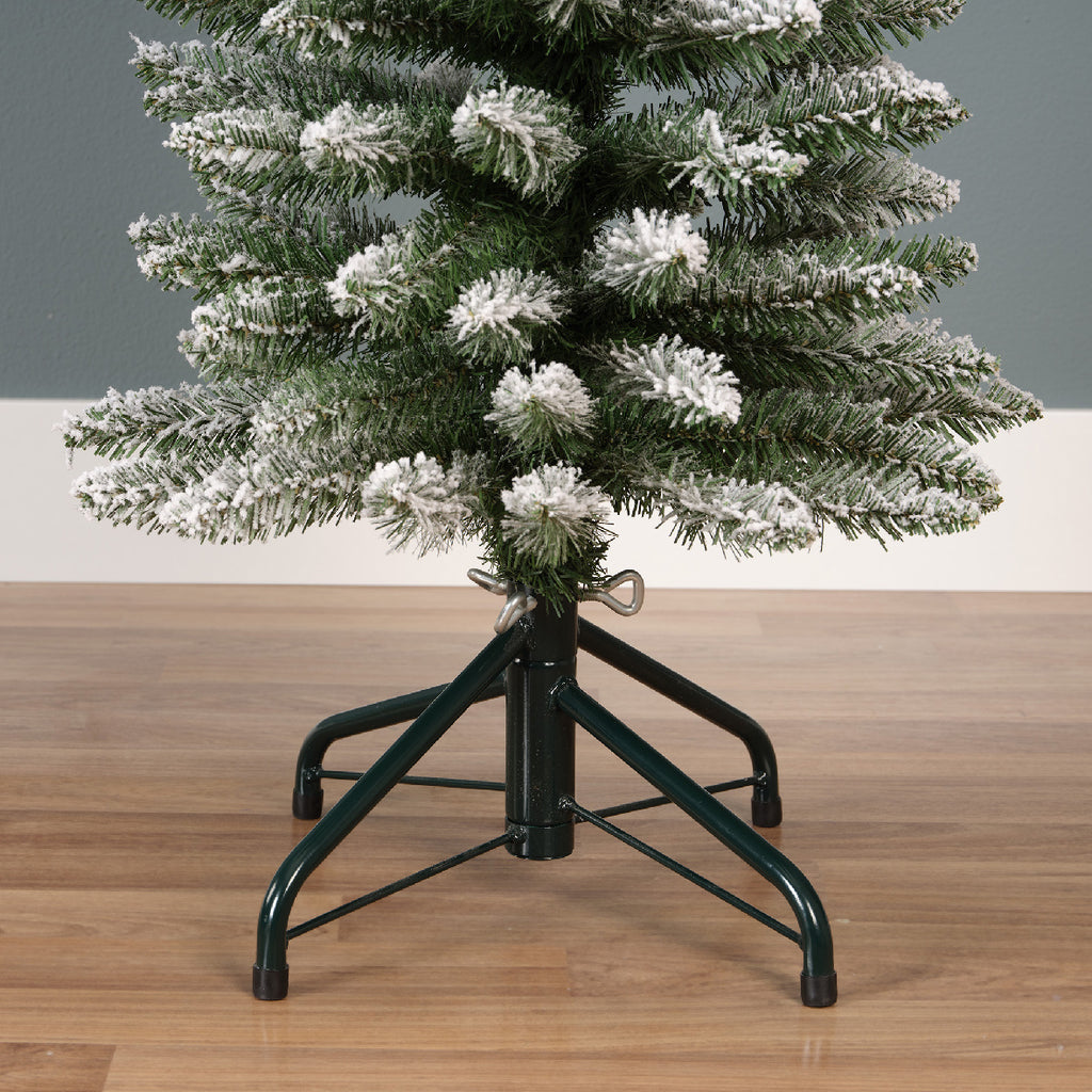 Snowy Pencil Pine 8ft