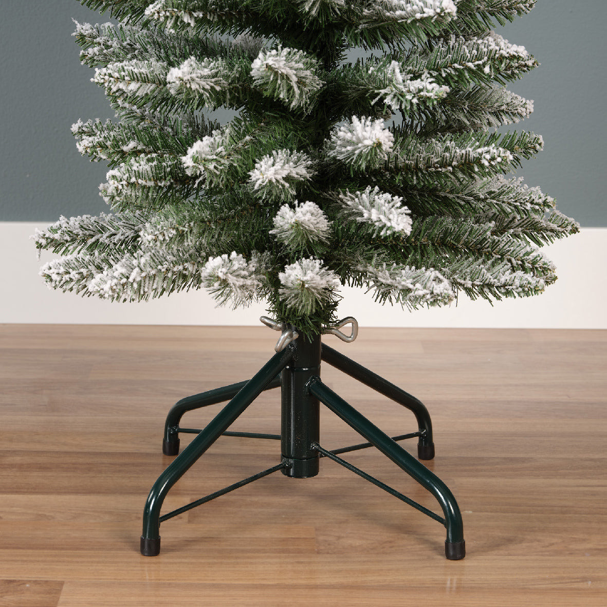 Snowy Pencil Pine 8ft