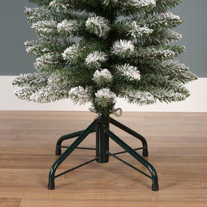 Snowy Pencil Pine 6ft