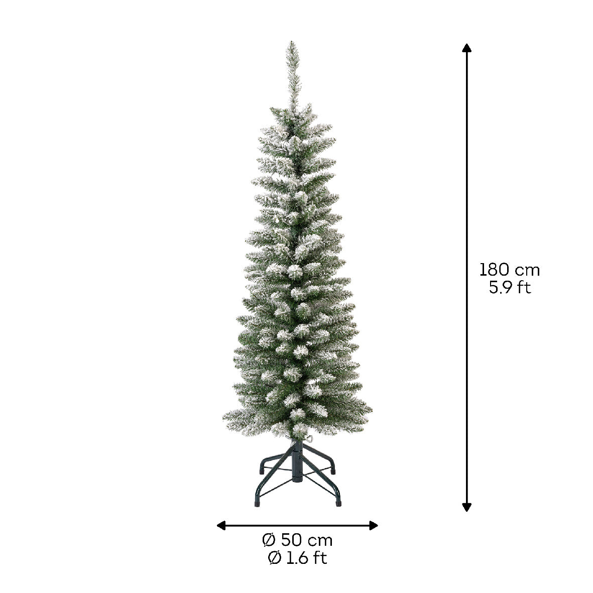 Snowy Pencil Pine 6ft