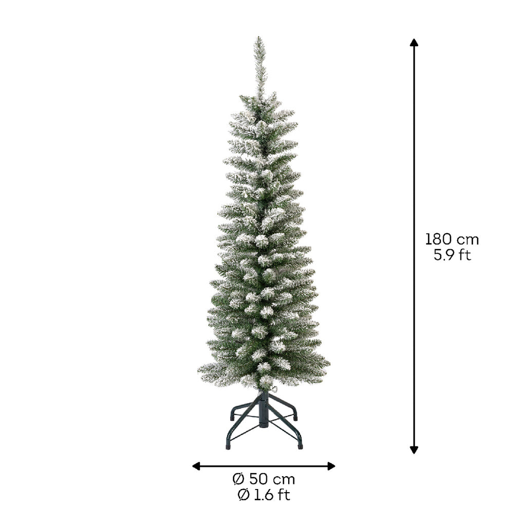 Snowy Pencil Pine 6ft