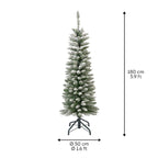 Snowy Pencil Pine 6ft