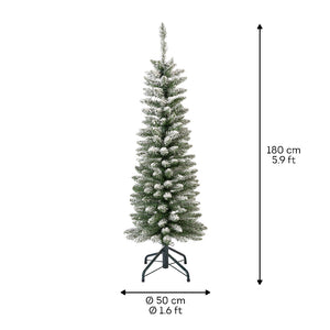 Snowy Pencil Pine 6ft