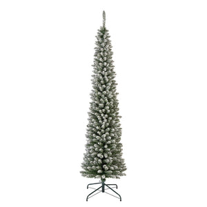 Snowy Pencil Pine 7ft