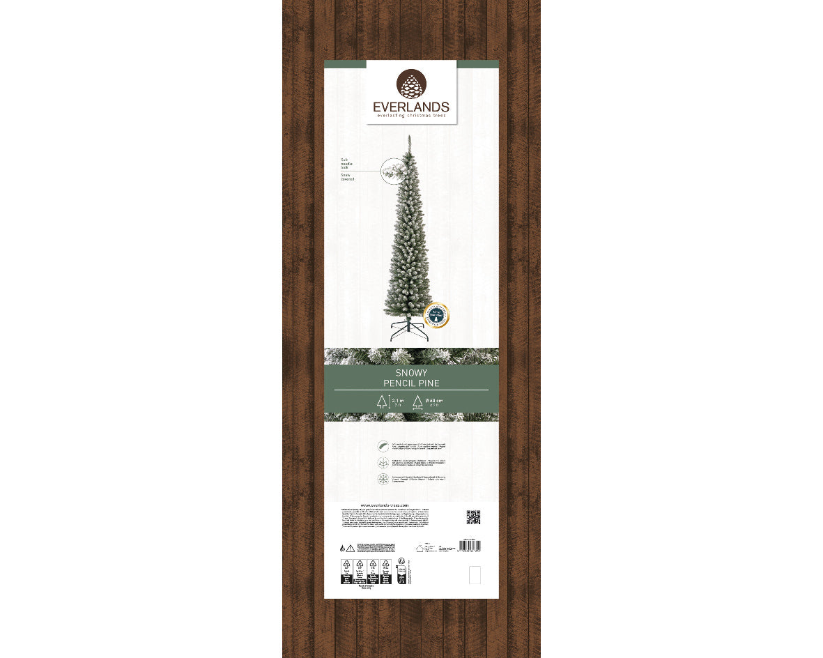 Snowy Pencil Pine 7ft