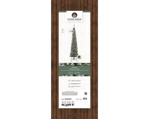 Snowy Pencil Pine 7ft