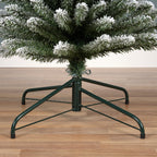 Snowy Pencil Pine 7ft