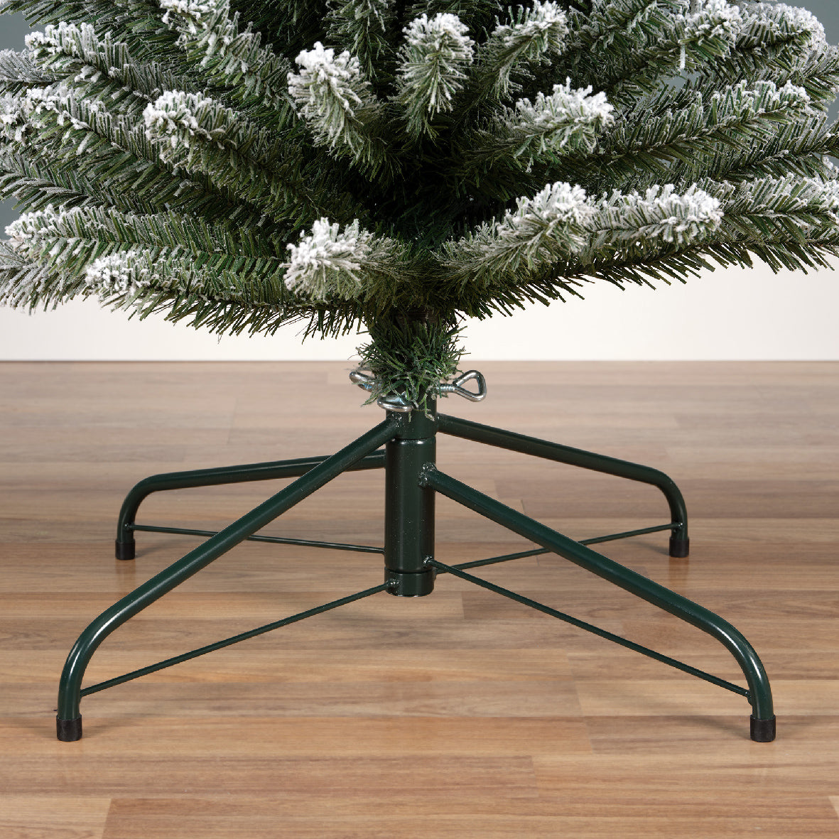 Snowy Pencil Pine 7ft
