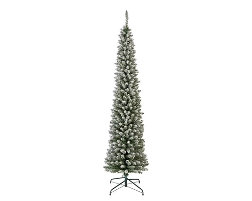 Snowy Pencil Pine 8ft