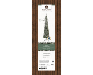 Snowy Pencil Pine 8ft