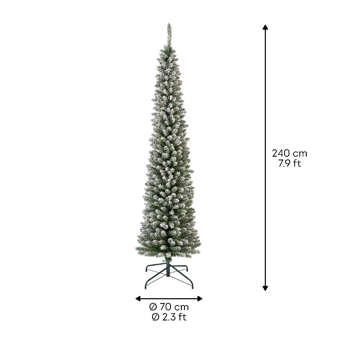 Snowy Pencil Pine 8ft