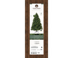 Freiburg Pine 7ft Christmas Tree