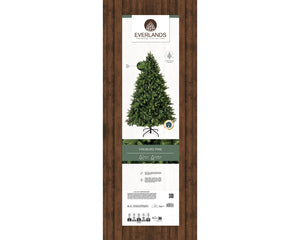 Freiburg Pine 7ft Christmas Tree