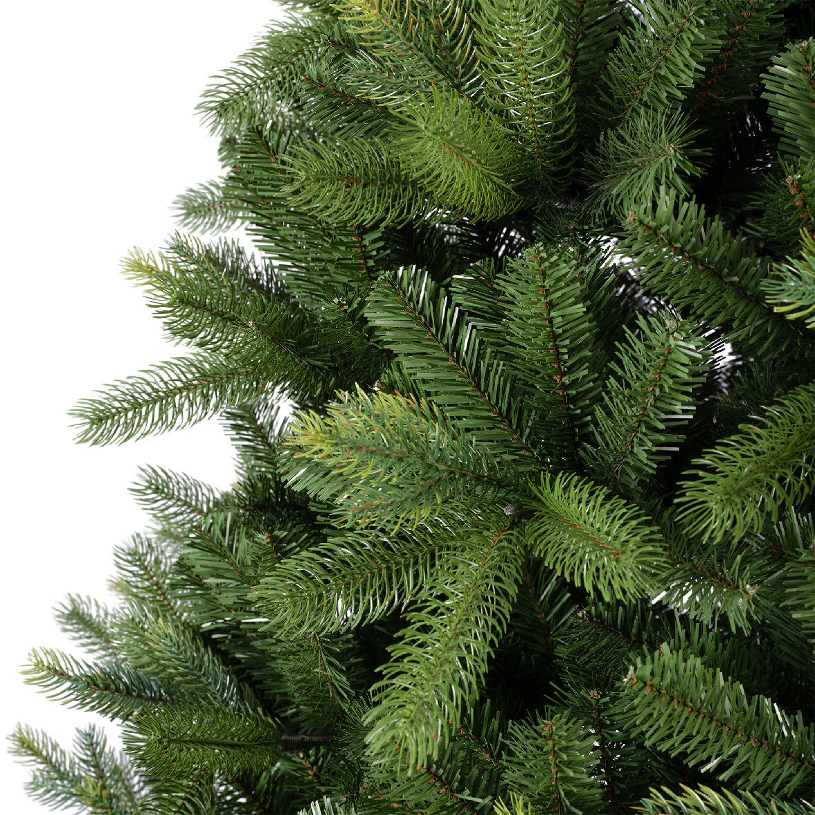 Freiburg Pine Christmas tree 10ft