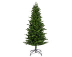 Killington Fir 5ft Christmas Tree