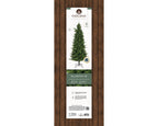 Killington Fir 5ft Christmas Tree