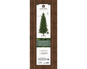 Killington Fir-5ft