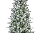 Killington Fir 7ft Snowy Christmas Tree