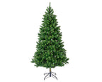 Kenmore fir 6ft