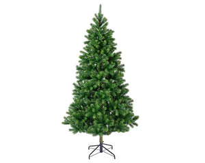 Kenmore fir 6ft