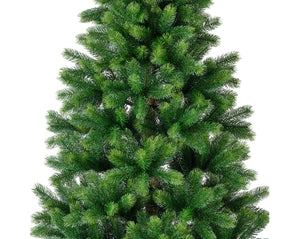 Kenmore fir 8ft