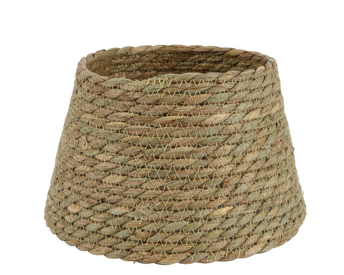 Tree ring grass