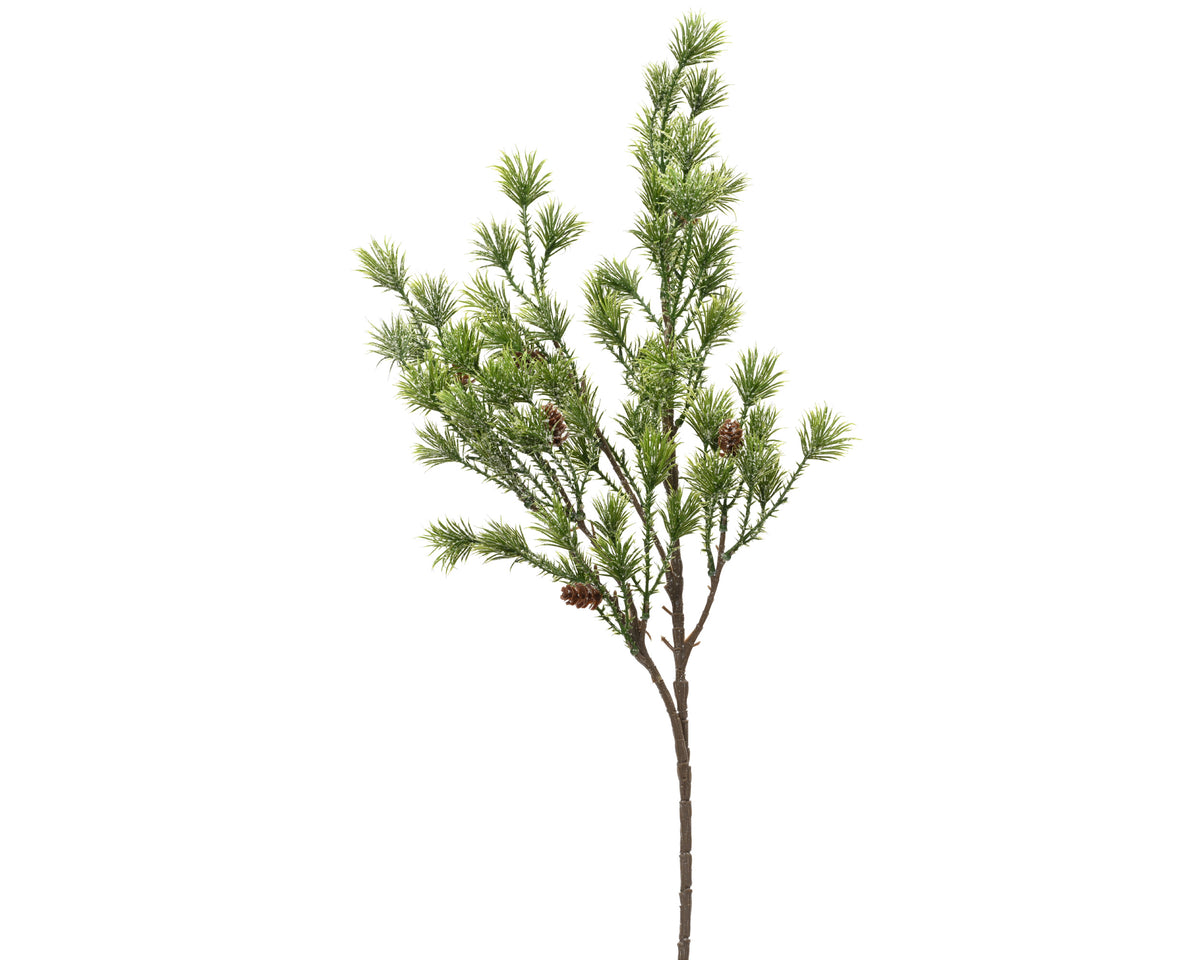 Pinecone spray