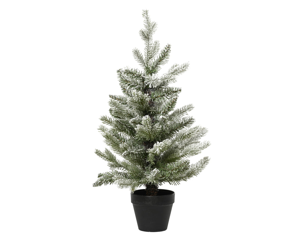 Pre-potted snowy Allison mini tree (90cmH)