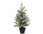 Pre-potted snowy Allison mini tree (90cmH)