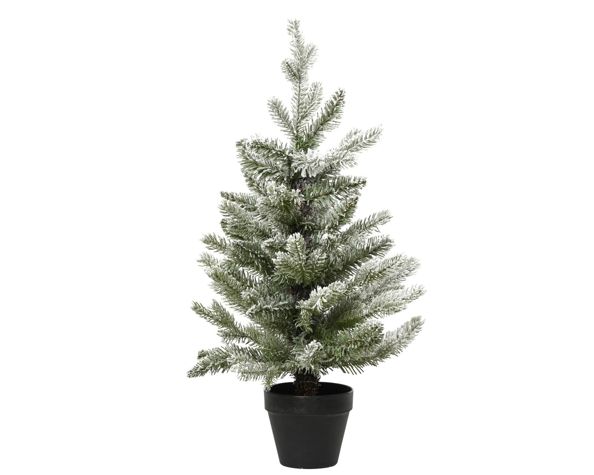 Pre-potted snowy Allison mini tree (90cmH)
