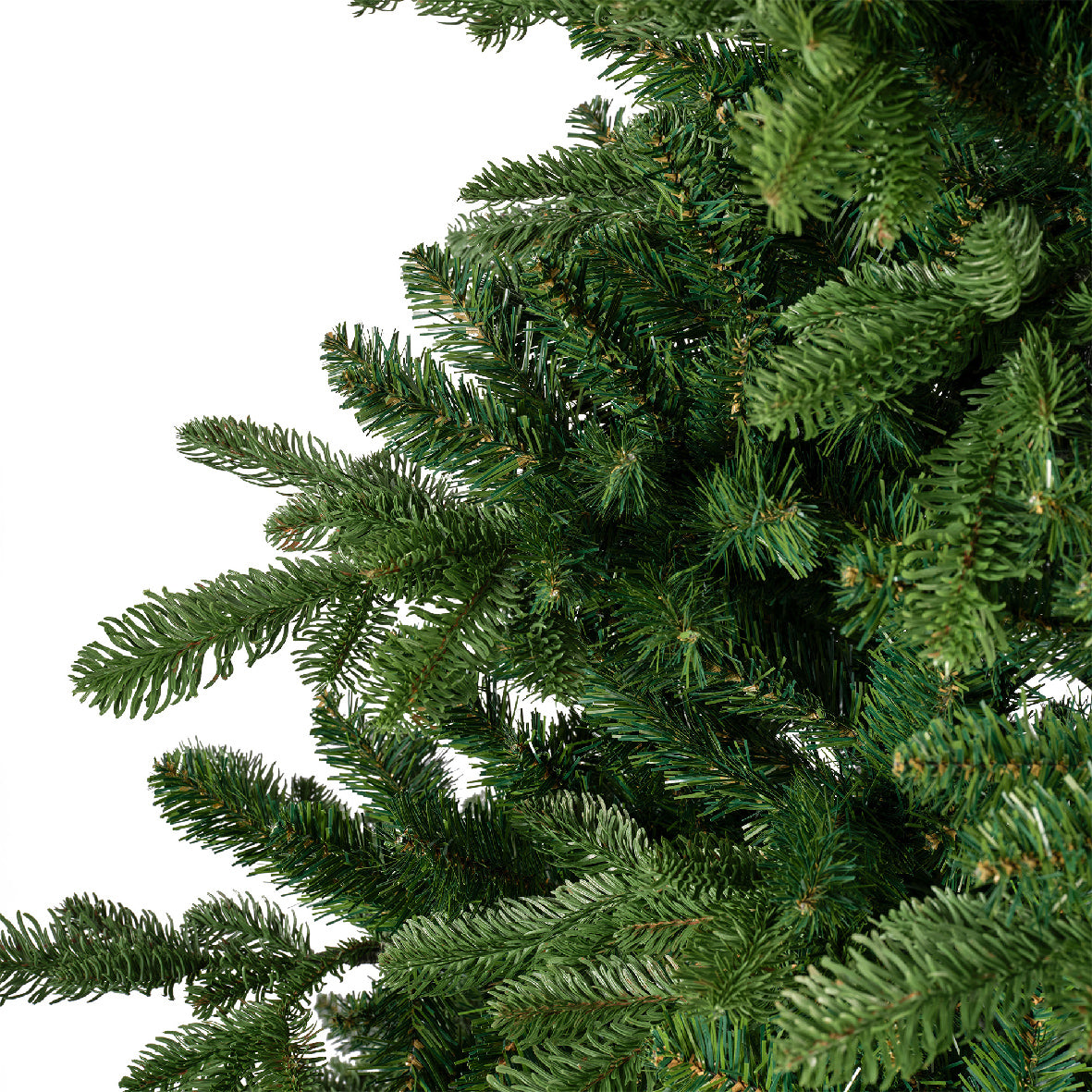 Noble pine-8ft