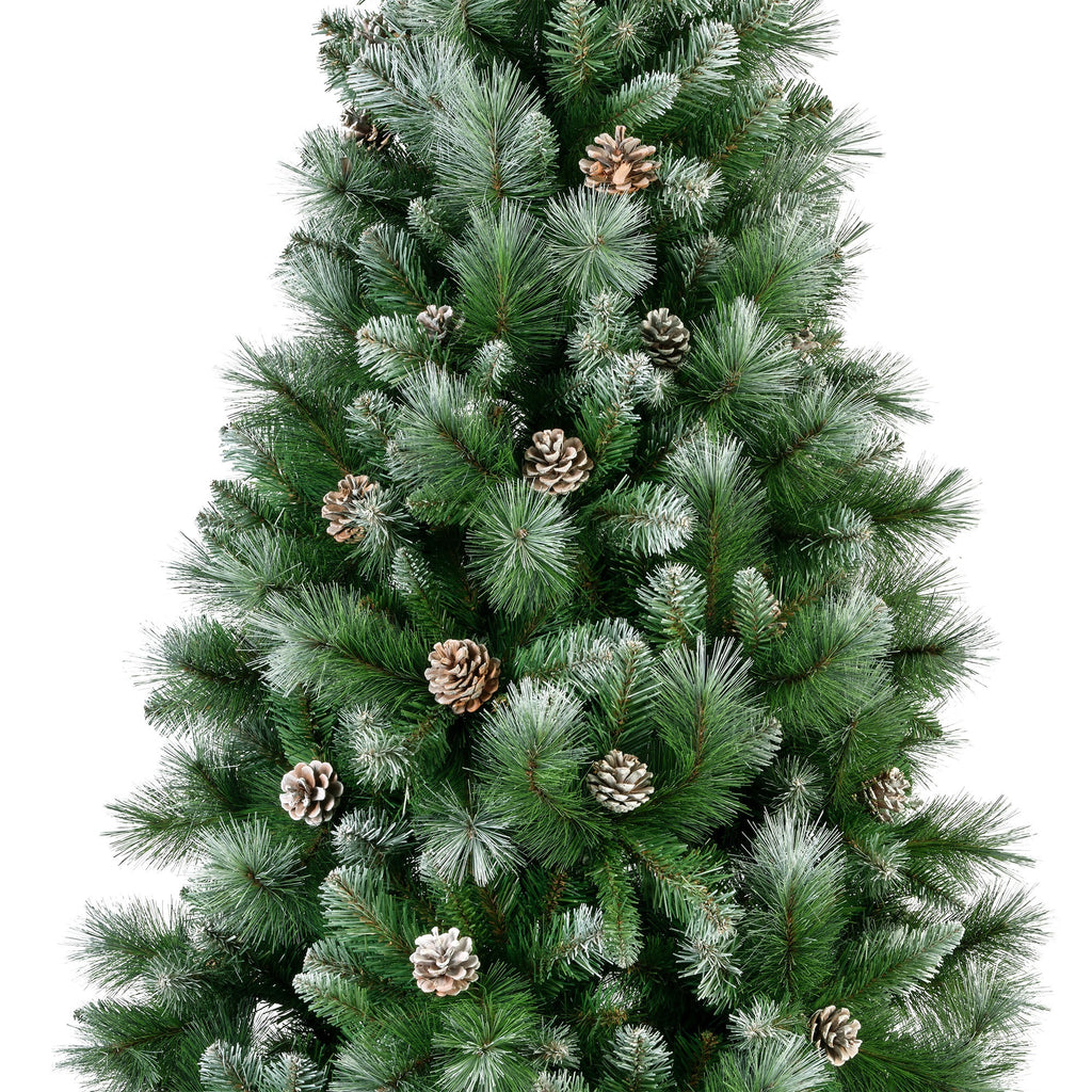 Norwich Pine Frosted 7ft Christmas Tree