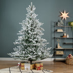 Grandis Fir Snowy 10ft